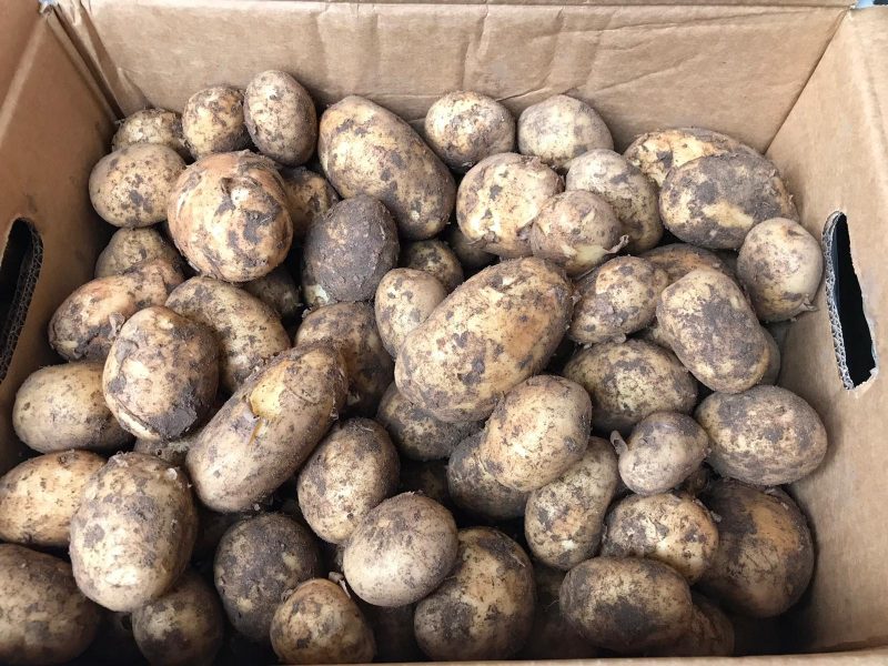 New Season Irish Potatoes (per KG) The Fruit Brothers